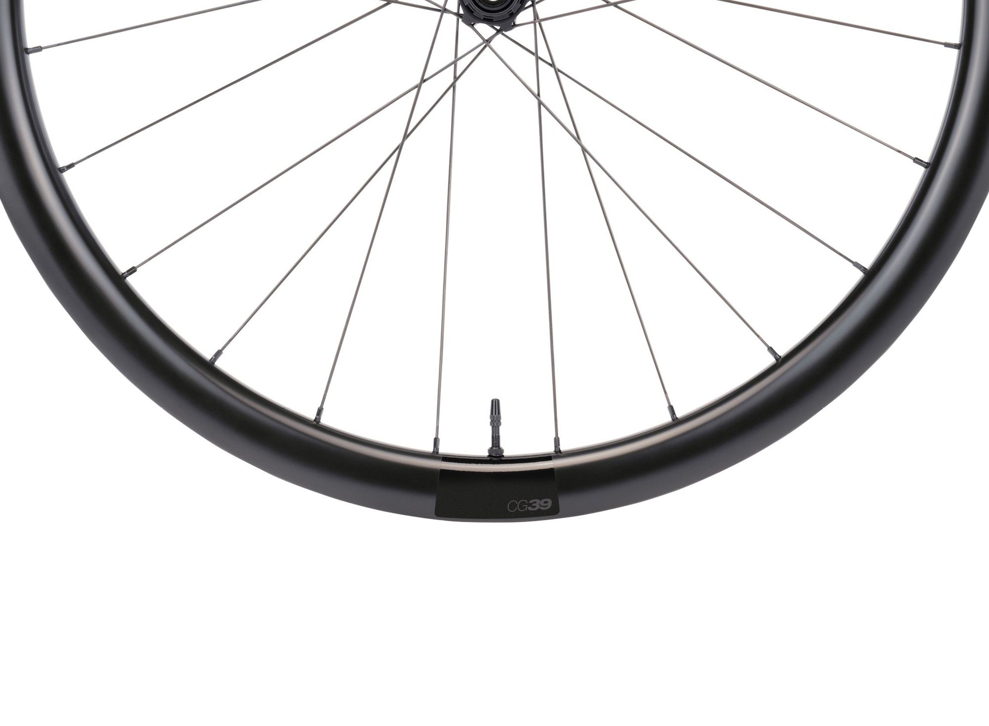 CG 39 Rear Wheel